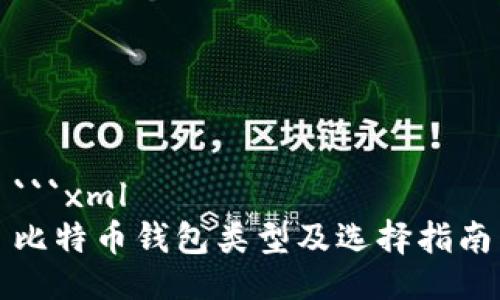 ```xml
比特币钱包类型及选择指南